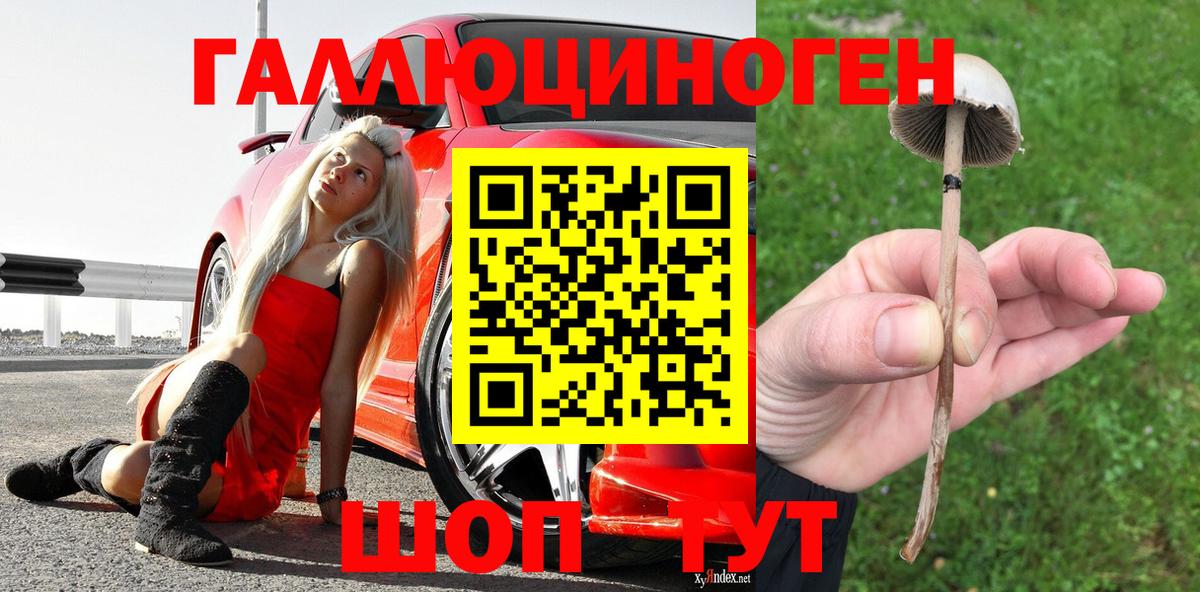 купить наркоту  Вход с VPN  Павловский Посад  Псилоцибиновые грибы Psilocybe 