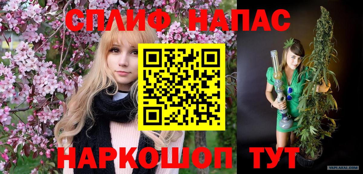 Шишки марихуана ГИДРОПОН  Вход с VPN  Бошки Шишки SATIVA & INDICA  Бошки марихуана White Widow  Бошки Шишки марихуана  Павловский Посад 